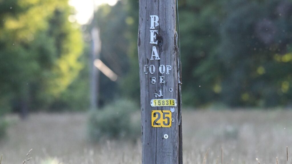 Contratto co co co ferie e malattia - Scarica il modello in PDF