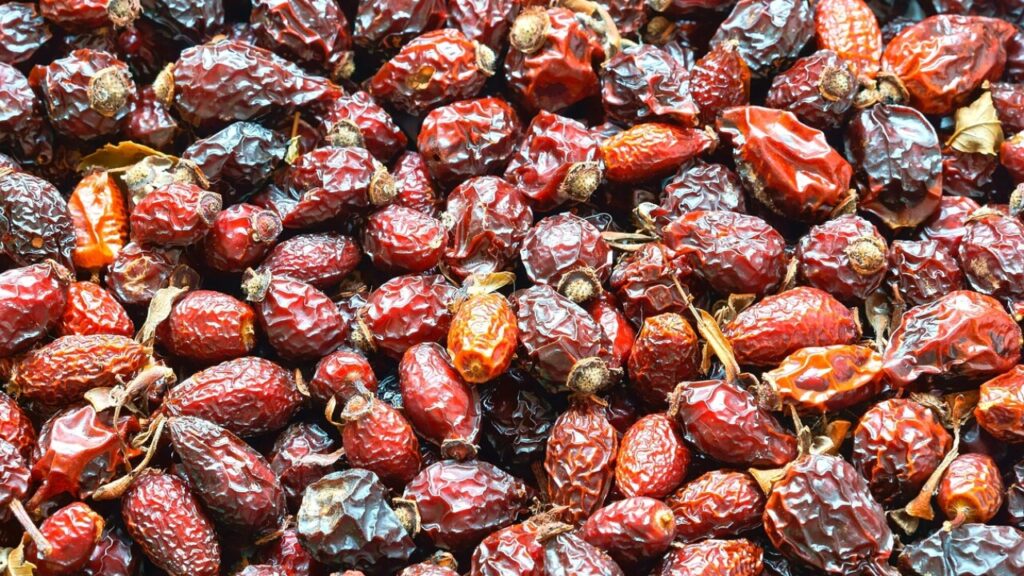 Contratto estimatorio: scarica il modello in PDF