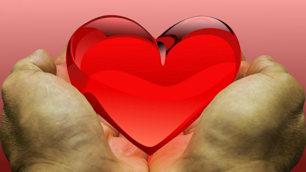 Contratto di donazione: scarica il modello in PDF